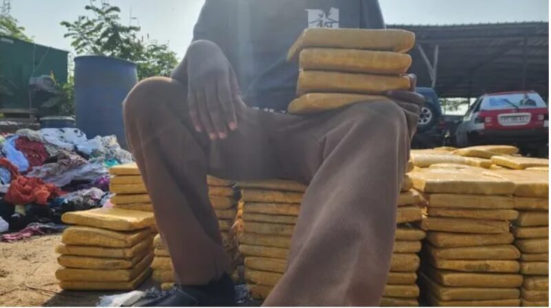 Libreville : traque et saisie d’un réseau de Skunk SK