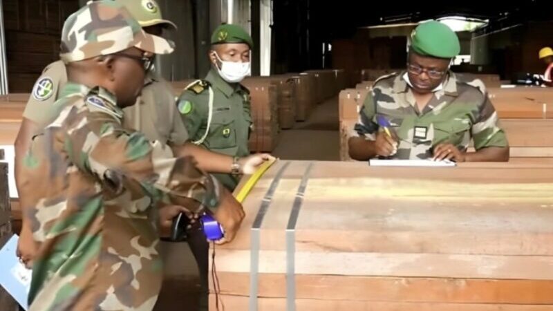 Kevazingo : Une Renaissance Régulée pour le Commerce du Bois