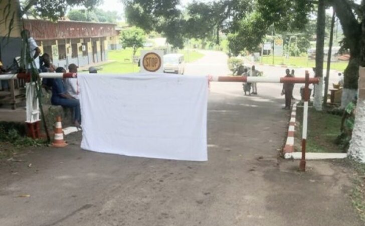 Grève illimitée à l’hôpital Albert Schweitzer de Lambaréné : le personnel se bat pour ses droits