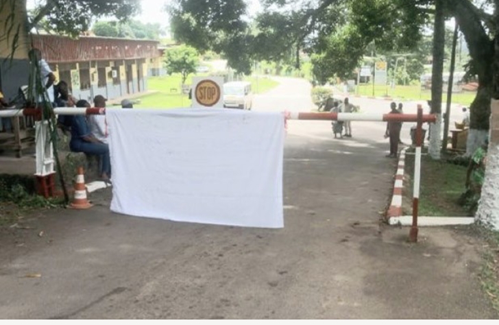 Grève illimitée à l’hôpital Albert Schweitzer de Lambaréné : le personnel se bat pour ses droits