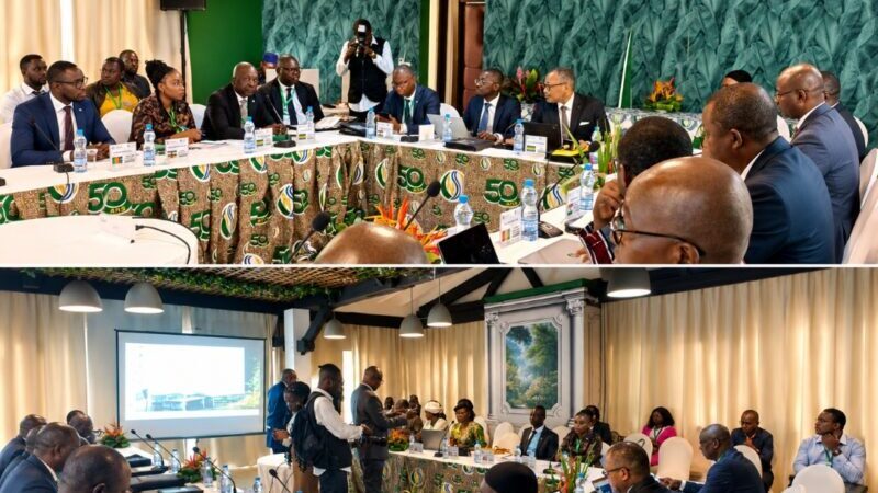 Libreville accueille l’Assemblée générale extraordinaire de l’IAPRP