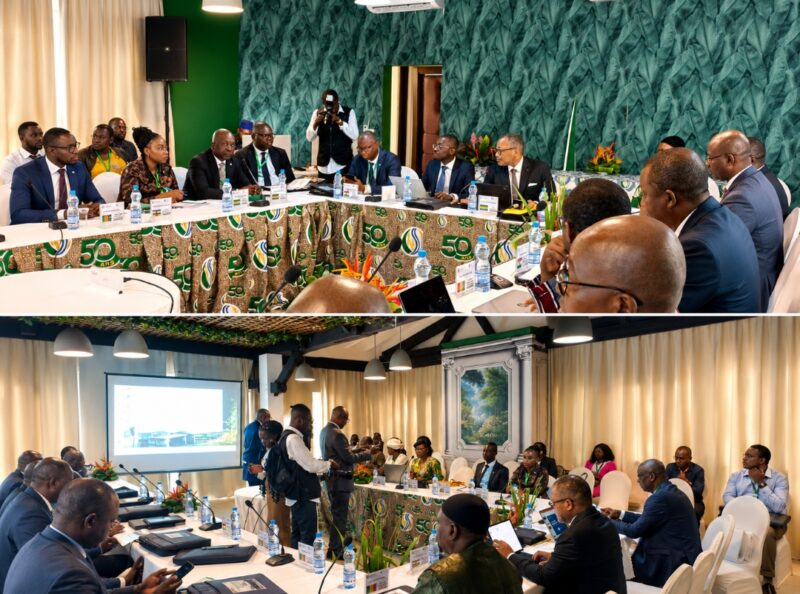 Libreville accueille l’Assemblée générale extraordinaire de l’IAPRP