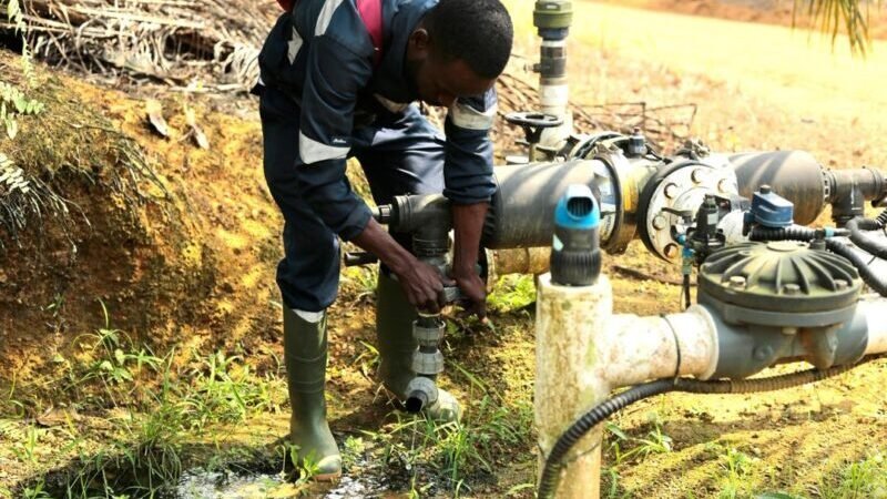Olam Palm Gabon : plus de 7 000 hectares irrigués grâce à un dispositif unique en Afrique