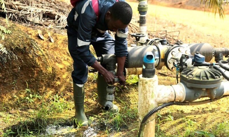 Olam Palm Gabon : plus de 7 000 hectares irrigués grâce à un dispositif unique en Afrique